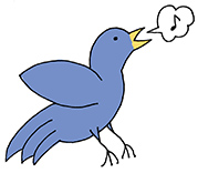 bird